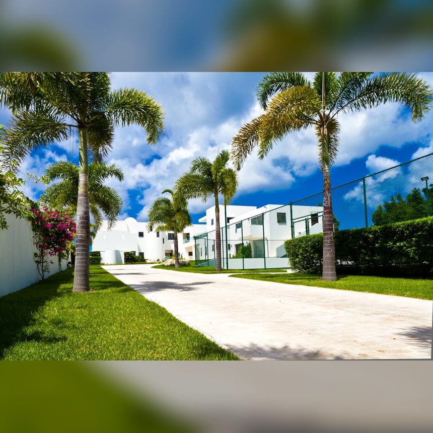 The Beach House